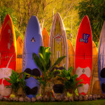 Types of Surfboards