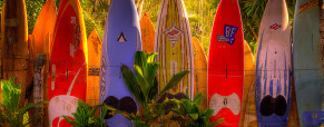 Types of Surfboards