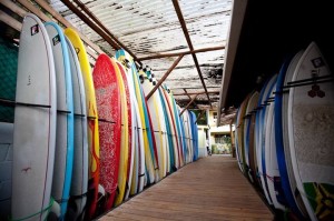 Blue Trailz Surf Camp and Shop 1