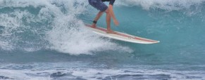 Dominical Surf Adventures