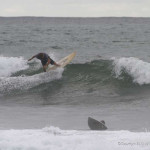 A surfer at Pavones