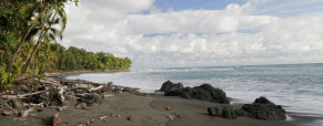 La Nicaragua Surf Spot (Pavones)