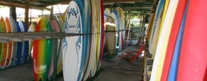 Nosara Surf Shop