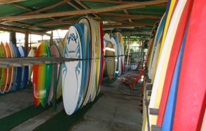 Nosara Surf Shop 1